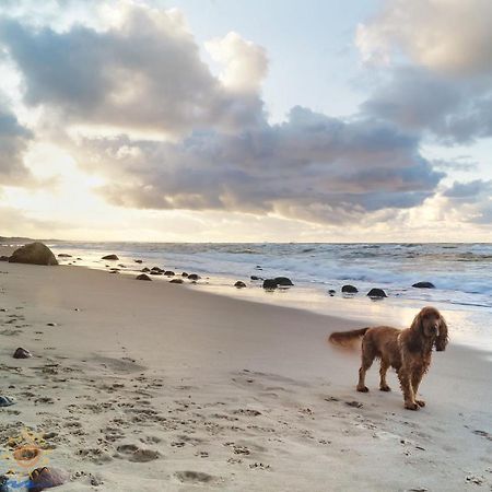 Vila Balti Domki Letniskowe Debina  Exteriér fotografie