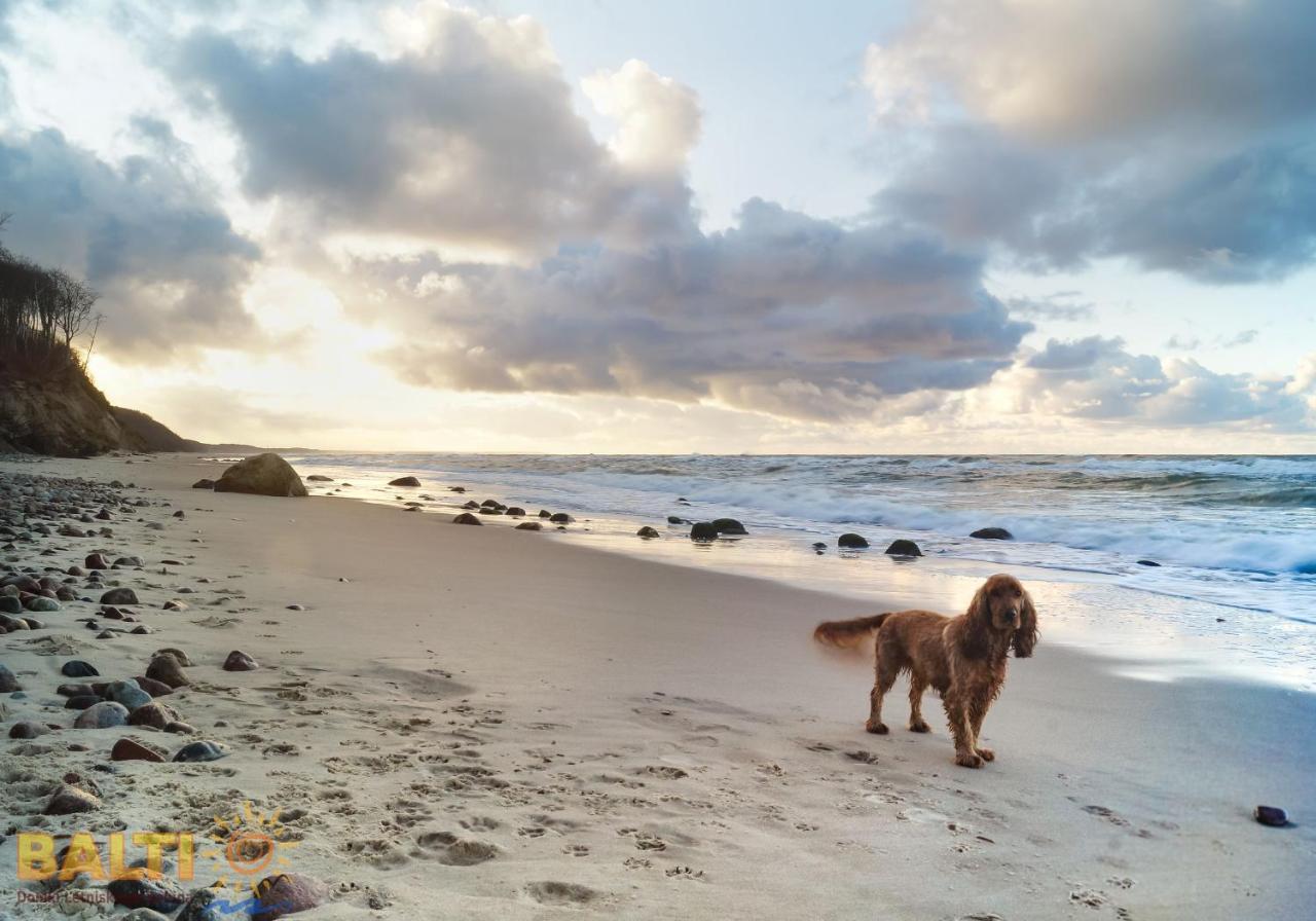 Vila Balti Domki Letniskowe Debina  Exteriér fotografie